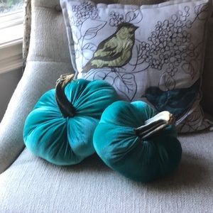 Selling Set of two Velvet pumpkins with real stems